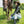 Load image into Gallery viewer, Embroidered Western Cowboy Boots